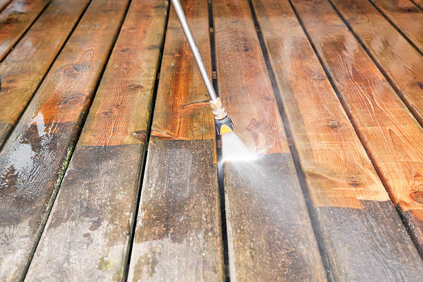 Best Affordable Power Washing  in Homer, IL