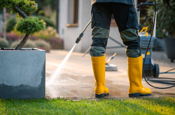 Best Roof Power Washing Services  in Homer, IL